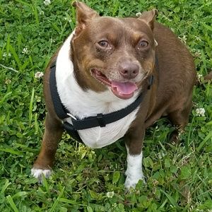 Meet your Posher, Lacey